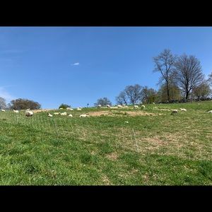 Meet your Posher, Brody